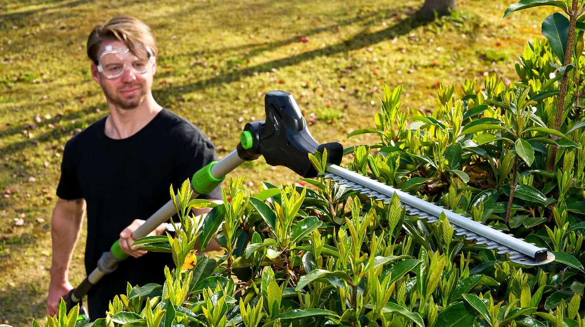 How to Trim Tall Hedges Without Strain: Try NovorikX 20V Cordless Pole ...