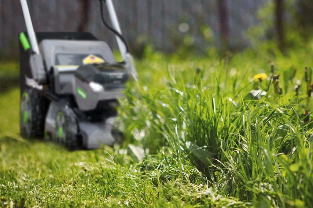 Mowing-Tall-Grass-with-a-Push-Mower-How-to-Cut-Overgrowth-Safely-and-Efficiently NovorikX