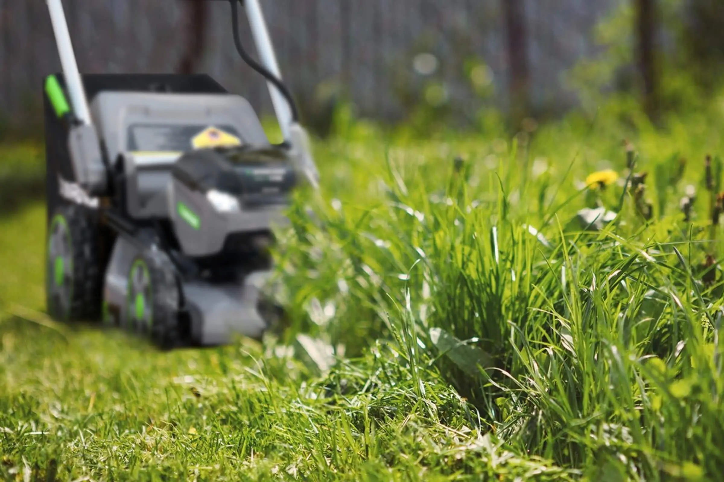 Mowing-Tall-Grass-with-a-Push-Mower-How-to-Cut-Overgrowth-Safely-and-Efficiently NovorikX